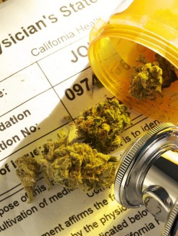 Medical Marijuana in the Workers' Compensation System